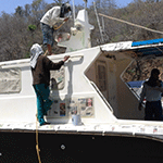 Finishing cat fiberglass